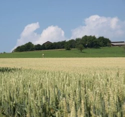 Agrarflchen Deutschland