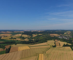 Getreideanbau Baden-Württemberg