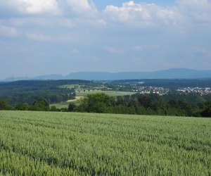 Getreideanbau in Brandenburg 2017