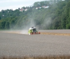 Getreideernte 2009 schliet mit einem Hektarertrag von 71 Dezitonnen
