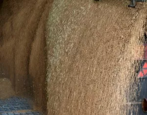 Getreideernte 2015 gestartet
