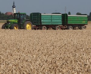 Getreideernte 2020 Rheinland-Pfalz 