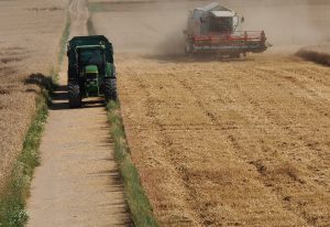 Getreideernte 2020 Schleswig-Holstein