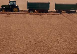 Getreideernte NRW 2015