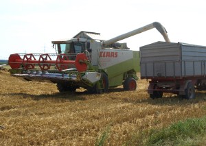 Getreideernte Rheinland 2014