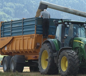 Getreideernte Sachsen-Anhalt 2015