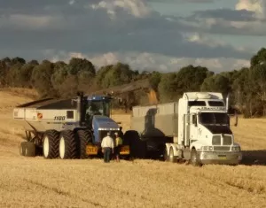 Getreideernte in Australien