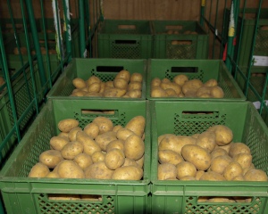 Kartoffelernte 2020 Niedersachsen