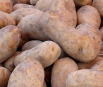 Kartoffeln: Immer mehr Pommes frites und Chips