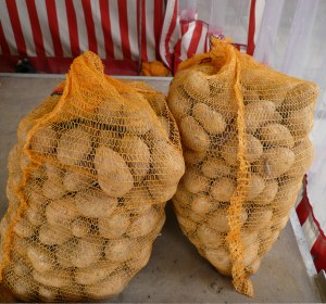 Pfälzer Frühkartoffeln